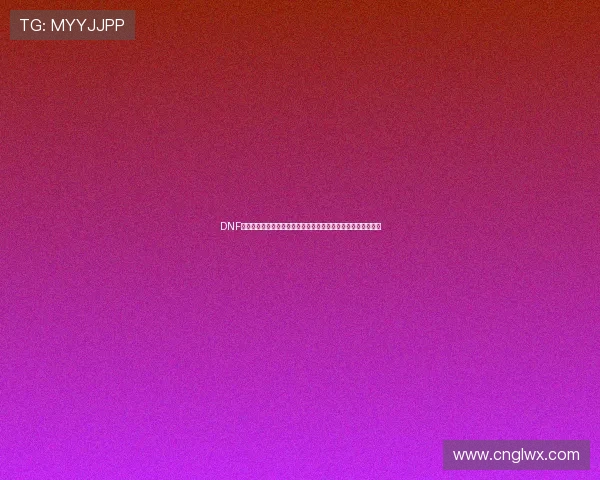 DNF界面补丁怎么用详细步骤与常见问题解析指南新手必看安装教程